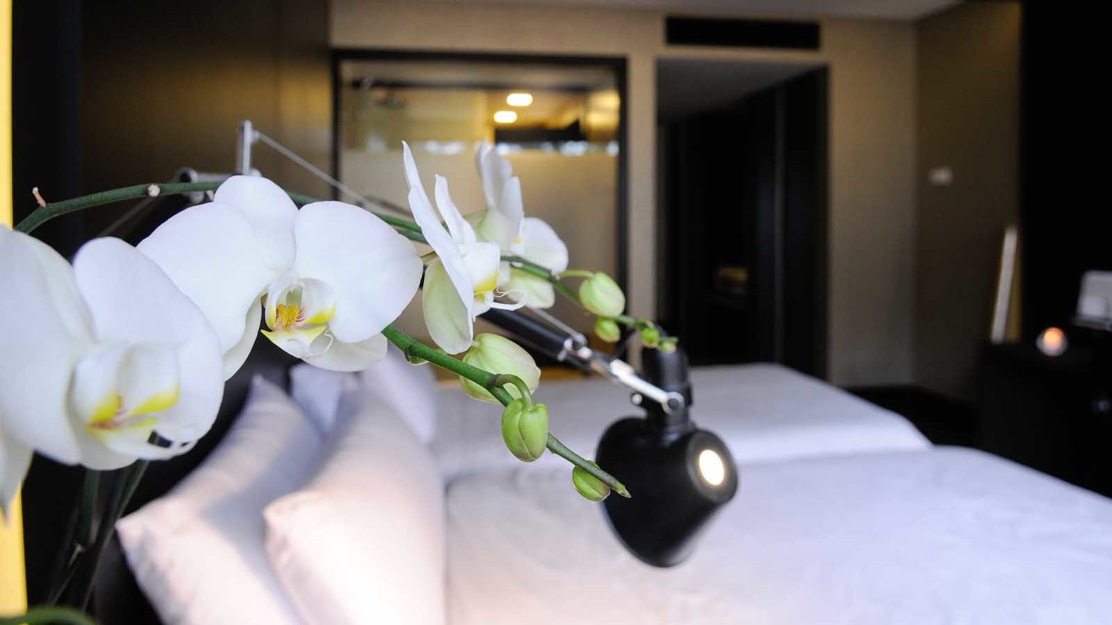 Evidencia Belverde Hotel أمورا المظهر الخارجي الصورة